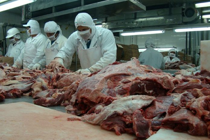 1 Foto: Impresionante producción y exportación de carne en Nicaragua / Cortesía