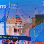 Puertos Comerciales de Nicaragua con excelente actividad económica Foto: 12 buques internacionales arribaron a Nicaragua /TN8