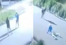 ¡Por celos! Apuñaló a su pareja hasta matarlo en Argentina (VIDEO) Foto: Atroz crimen en Argentina /cortesía