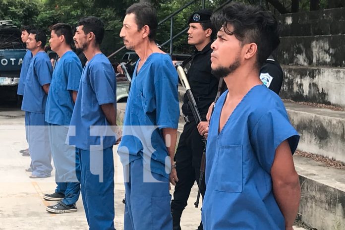 Foto: La Policía Nacional de Nueva Segovia realiza más de 400 patrullajes y 791 visitas para prevenir accidentes y promover la seguridad/TN8 Foto: La Policía Nacional de Nueva Segovia realiza más de 400 patrullajes y 791 visitas para prevenir accidentes y promover la seguridad/TN8