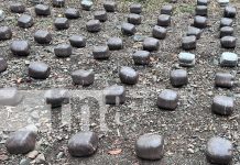 Ejército de Nicaragua incauta 386 óvulos de marihuana en operativo fronterizo Foto: Ejército de Nicaragua sigue en pie de lucha contra el narcotráfico: incautan 386 paquetes de marihuana en Jalapa/TN8
