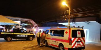 Foto: Terminó sufriendo espantosa muerte en Costa Rica /Cortesía