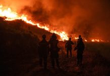 Tercer día de llamas: incendio forestal en Grecia continúa descontrolado Foto: Incendios en Grecia continúan fuera de control /Cortesía