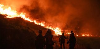 Foto: Incendios en Grecia continúan fuera de control /Cortesía