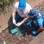 Feto de cuatro meses es encontrado en un cauce de Chinandega Foto: Comarca San Benito, kilómetro 130, en la carretera Chinandega-Chichigalpa/TN8