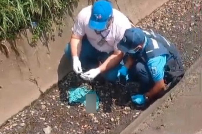 Foto: Comarca San Benito, kilómetro 130, en la carretera Chinandega-Chichigalpa/TN8 Foto: Comarca San Benito, kilómetro 130, en la carretera Chinandega-Chichigalpa/TN8