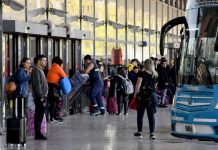 Milei pone fin a la regulación del transporte público en Argentina Foto: Transporte sin reglas en Argentina /cortesía