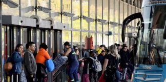 Foto: Transporte sin reglas en Argentina /cortesía