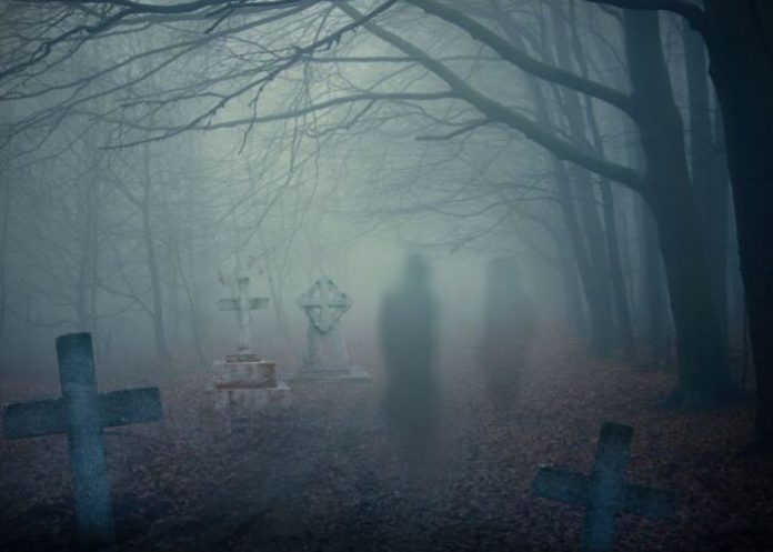 Foto: Taxista vive el miedo de su vida /cortesía Foto: Taxista vive el miedo de su vida /cortesía