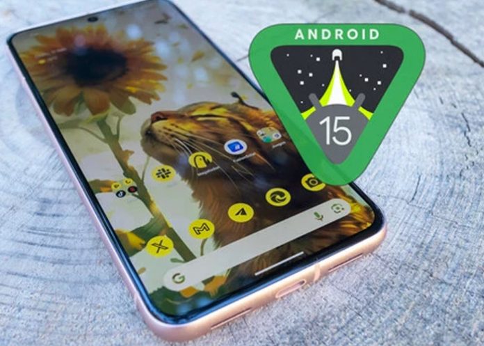 Foto:  Android 15 ha comenzado oficialmente su despliegue/Cortesía Foto: Android 15 ha comenzado oficialmente su despliegue/Cortesía