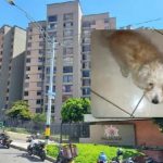 Colombia endurece medidas contra el maltrato animal: mujer imputada por crueldad hacia una mascota Foto: Colombia endurece medidas contra el maltrato animal: mujer imputada por crueldad hacia una mascota