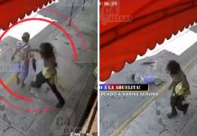 Indigente golpea a una abuelita y la deja con un brazo roto (VIDEO) Foto: Indigente golpea a abuelita y le rompe un brazo /Cortesía