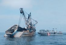 Congreso de Perú aprueba proyecto de ley contra la pesca ilegal Foto: Perú aprobó un proyecto de ley/Cortesía