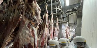 Foto: IPSA refuerza seguridad alimentaria en Nicaragua
