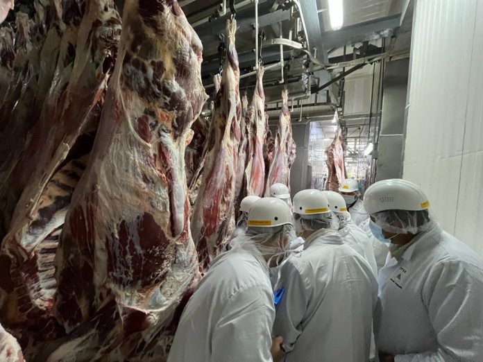 Foto: IPSA refuerza seguridad alimentaria en Nicaragua Foto: IPSA refuerza seguridad alimentaria en Nicaragua