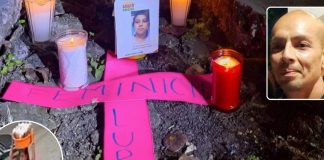 Foto: La violencia cruel y brutal no desciende en México /Cortesía