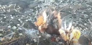 Foto: Ataque israelí en el Líbano activó alertas de terremoto /Cortesía