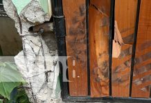 Camión con fallas mecánicas provoca daños en dos casas en Juigalpa Foto: Un camión sufrió fallas mecánicas en Juigalpa causando pánico entre los habitantes un hombre se lanzó del vehículo para salvarse/TN8