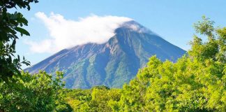 Foto: Día Mundial de la Protección de la Naturaleza/Cortesía