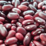 INTA presenta nueva tecnología agroindustrial con harina de frijol biofortificado Foto: Instituto Nicaragüense de Tecnología Agropecuaria (INTA/Cortesía