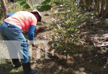 Mujeres de Nandaime implementan agricultura orgánica sin químicos Foto: Mujeres de Nandaime implementan agricultura orgánica sin químicos/ TN8