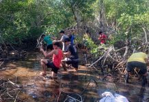 Restauración de Manglares en Nicaragua: una iniciativa del buen Gobierno Foto: Restauración de Manglares en Nicaragua: una iniciativa del buen Gobierno/ Cortesía