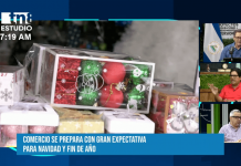 Mercados de Nicaragua activados de cara al último trimestre de 2024 Foto: Dinámica comercial en el último trimestre de 2024 en mercados capitalinos / TN8