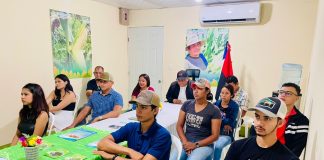 Foto: INTA Realiza Conferencia Virtual sobre Cultivo de Plátano