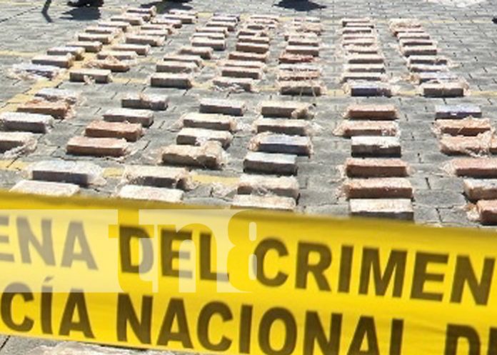 Foto: Incautación de drogas en Estelí y Nueva Segovia / TN8 Foto: Incautación de drogas en Estelí y Nueva Segovia / TN8