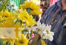 Comerciantes de Granada ofertan variedad de flores de cara al 2 de noviembre Foto: Comercio de flores en Granada / TN8