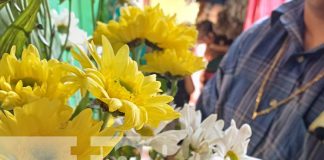 Foto: Comercio de flores en Granada / TN8