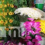 Flores para recordar a los difuntos a excelentes precios en los mercados Foto: Flores para los difuntos en los mercados de Managua / TN8