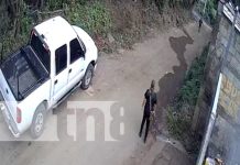 Asaltan a mujer en Las Jagüitas: la despojaron de su celular (VIDEO) Foto: Despojan a una mujer de su celular en una calle de Las Jagüitas / TN8