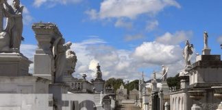 Foto: Limpieza y seguridad en el cementerio de Granada / TN8