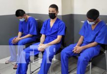 Armados con palos, casi matan a un hombre en un barrio de Managua Foto: Brutal agresión a un hombre en Managua los tiene enfrentando juicio / TN8