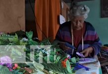 Mujer ejemplar de Matagalpa: 50 años elaborando coronas para los difuntos Foto: Doña Marfa y sus manualidades con coronas desde Matagalpa / TN8