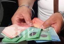 Servidores públicos reciben salario adelantado y con el reajuste del 4% Foto: Pago del salario de noviembre con reajuste del 4% / TN8