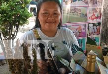 ¡Feria Navideña! Emprendedores de Ometepe destacan con productos artesanales Foto: ¡Feria Navideña! Emprendedores de Ometepe destacan con productos artesanales/TN8