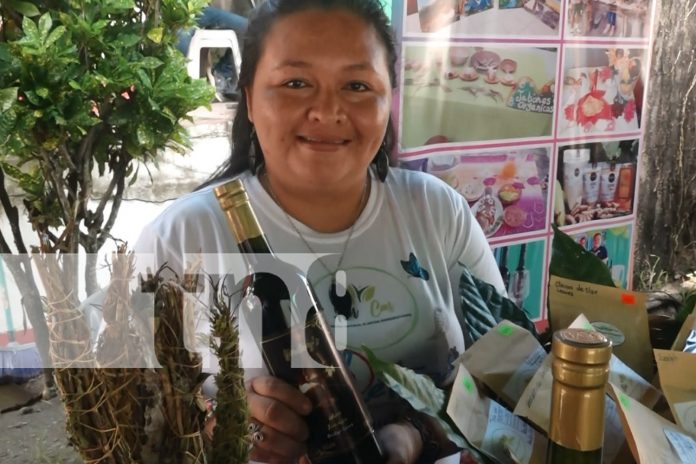 Foto: ¡Feria Navideña! Emprendedores de Ometepe destacan con productos artesanales/TN8