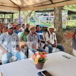 INTA presenta avances en ganadería: adaptabilidad de razas Brahman y Simmental en el trópico húmedo