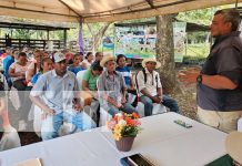INTA presenta avances en ganadería: adaptabilidad de razas Brahman y Simmental en el trópico húmedo