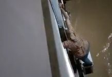 Escapó de morir ahogada en España subiéndose a un aire acondicionado Foto: Escapó de morir ahogada en España /cortesía