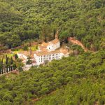 Hombre irrumpe en monasterio de Valencia y ataca a siete monjes al grito de «¡soy Jesucristo!» Foto: Hombre irrumpe en monasterio de Valencia y ataca a siete monjes al grito de "¡soy Jesucristo!"