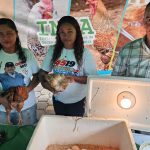 INTA presenta incubadora artesanal para mejorar la reproducción de aves de patio en Nicaragua