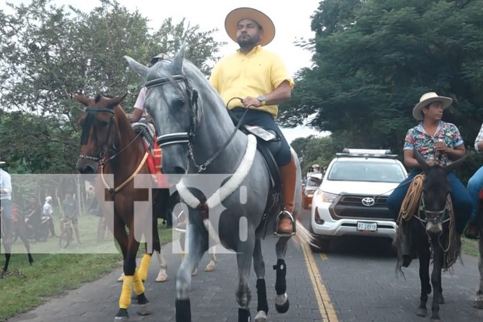Foto: Corridas de toros, música y cultura se viven en Altagracia hasta el 17 de noviembre. ¡No te pierdas el festival del Zompopo!/TN8 Foto: Corridas de toros, música y cultura se viven en Altagracia hasta el 17 de noviembre. ¡No te pierdas el festival del Zompopo!/TN8