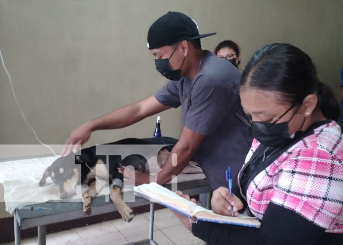 Foto: Nandaime realiza jornada quirúrgica /TN8 Foto: Nandaime realiza jornada quirúrgica /TN8