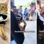 «Bendito sea el «gatito»: ¡Bautizó a su gato y lo hizo católico! Foto: ¡Bendito sea el "gatito"! /cortesía