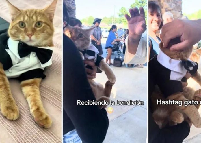 Foto: ¡Bendito sea el