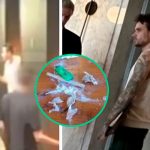 Cámaras captan a Liam Payne y al sospechoso antes de la tragedia (VIDEO) Foto: familia de Liam Payne ha solicitado privacidad durante este difícil proceso/Cortesía