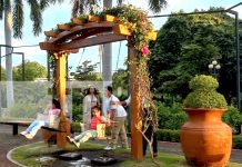 Granada enamora a los turistas con su belleza, historia y gastronomía Foto: Granada enamora a los turistas con su belleza, historia y gastronomía/TN8